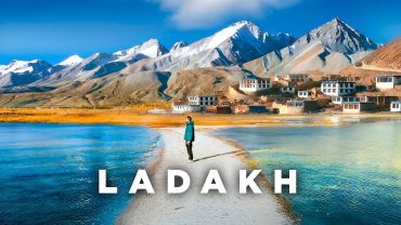 Ladakh Turns Pink — Apricot Blossom Season Is Everything