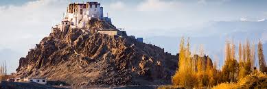 Top World Holidays | Tour Packages to India, Bhutan, Maldives & Asia