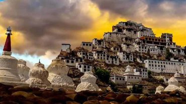 Ladakh Turns Pink — Apricot Blossom Season Is Everything