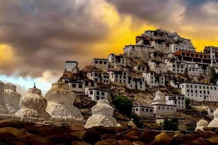 Ladakh Turns Pink — Apricot Blossom Season Is Everything