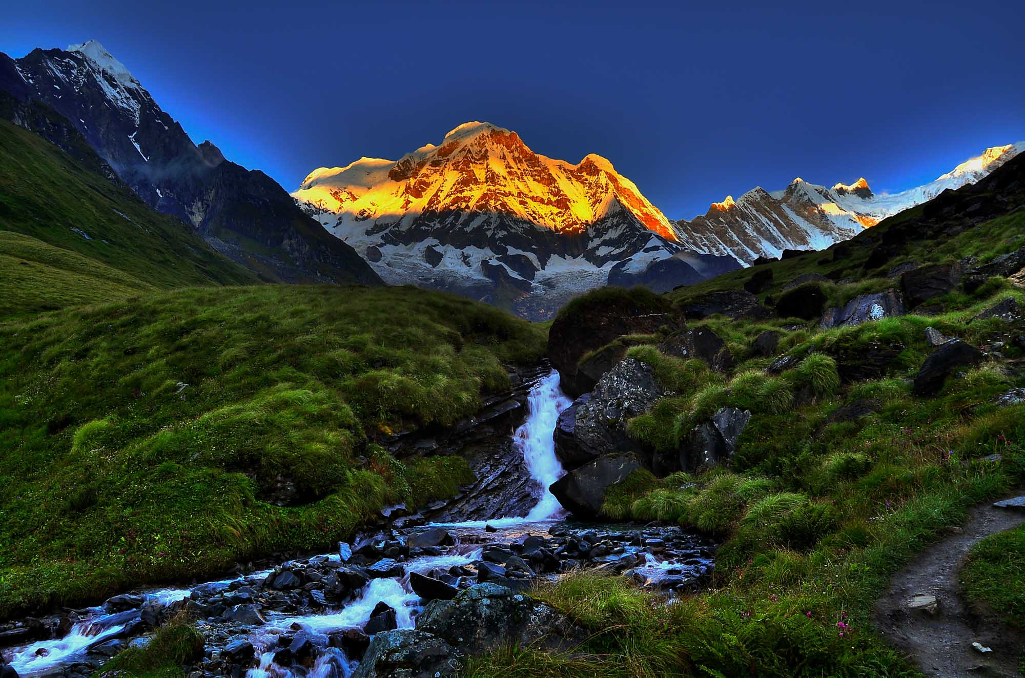Top World Holidays | Tour Packages to India, Bhutan, Maldives & Asia