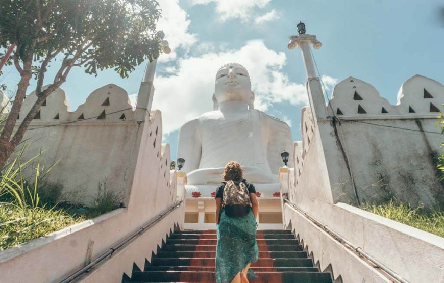 Scenic Getaway to Sri Lanka 6 Days