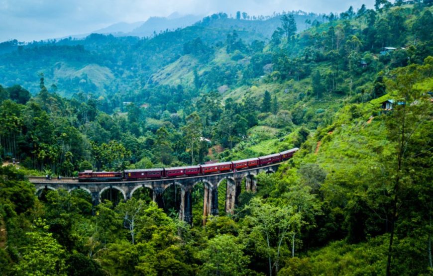 Scenic Getaway to Sri Lanka 6 Days