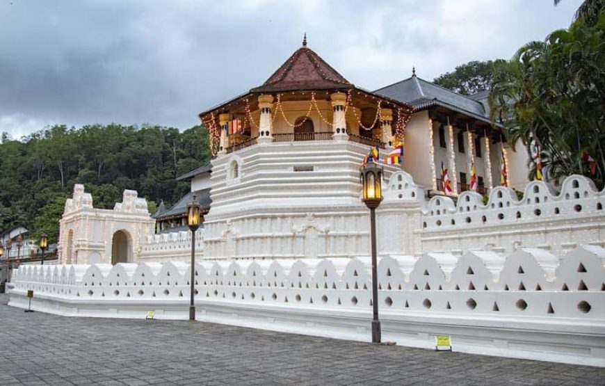 Scenic Getaway to Sri Lanka 6 Days