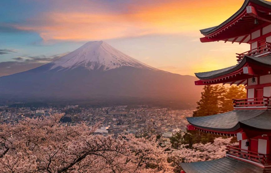 Cherry Blossom of Japan 8 Days