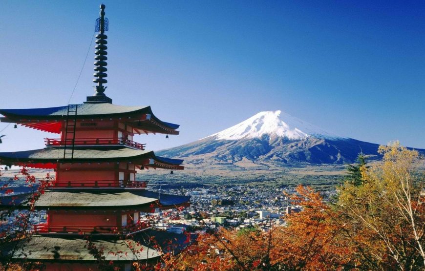 Cherry Blossom of Japan 8 Days