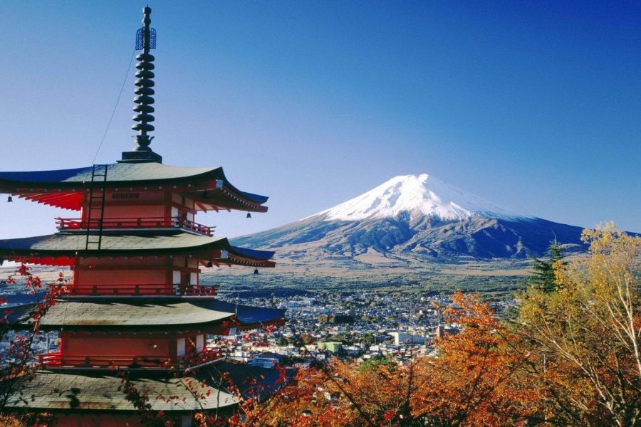 Cherry Blossom of Japan 8 Days