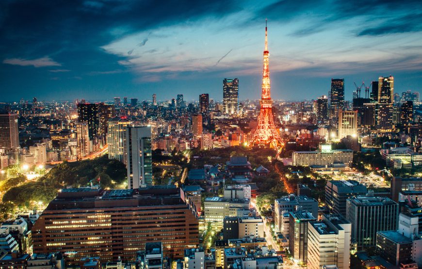 Cherry Blossom of Japan 8 Days